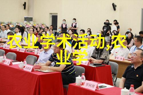 绿意盎然的角落室内植物艺术与生活品质的融合