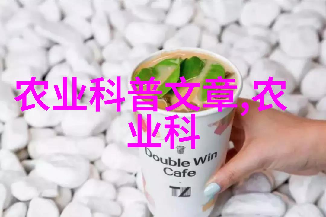 激情燃烧的双人健身挑战掌握极致运动视频教程