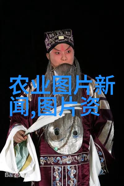 政策解读的艺术与智慧