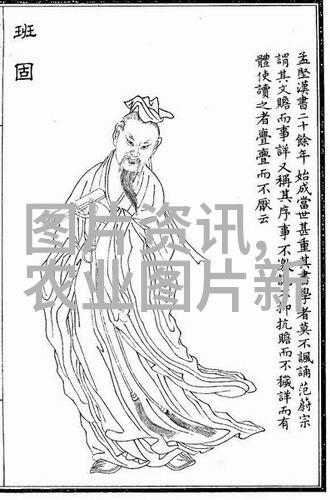 1. 10公分金丝楠苗木价格究竟是多少