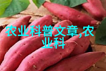 从原料到制剂探索速段中药材产业链条优化途径