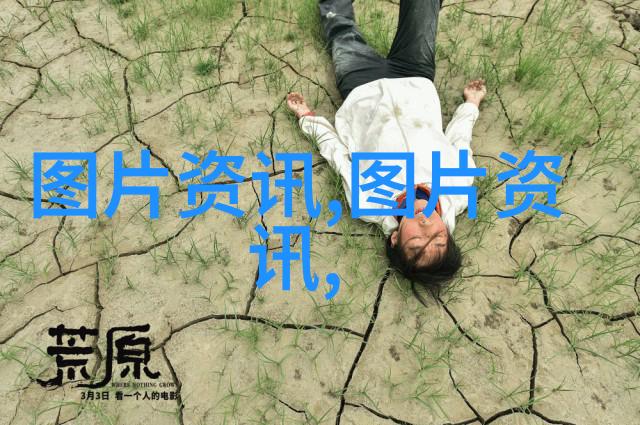 探秘一颗梨的种子解析果实内在的生长奥秘