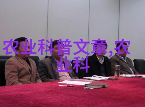 大型旋耕起垄施肥一体机农业机械化革新之旗舰
