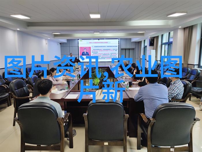 蜜蜂养殖初学者如何评估购买一窝蜜蜂的价值