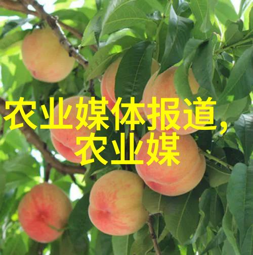 探索我和1000种多肉植物的奇妙冒险图鉴里的秘密世界
