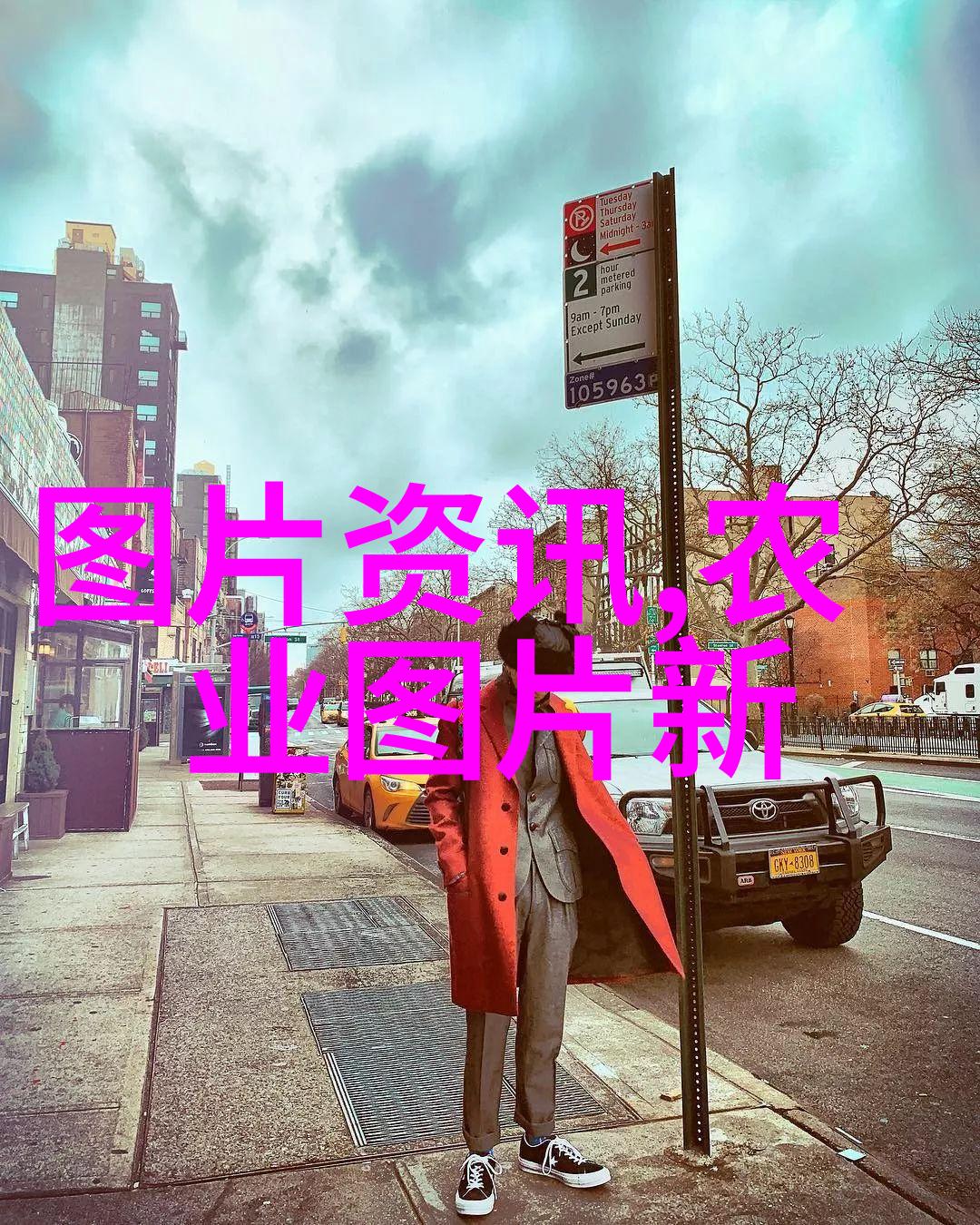 蔬菜大棚图片绿色生态农业的未来