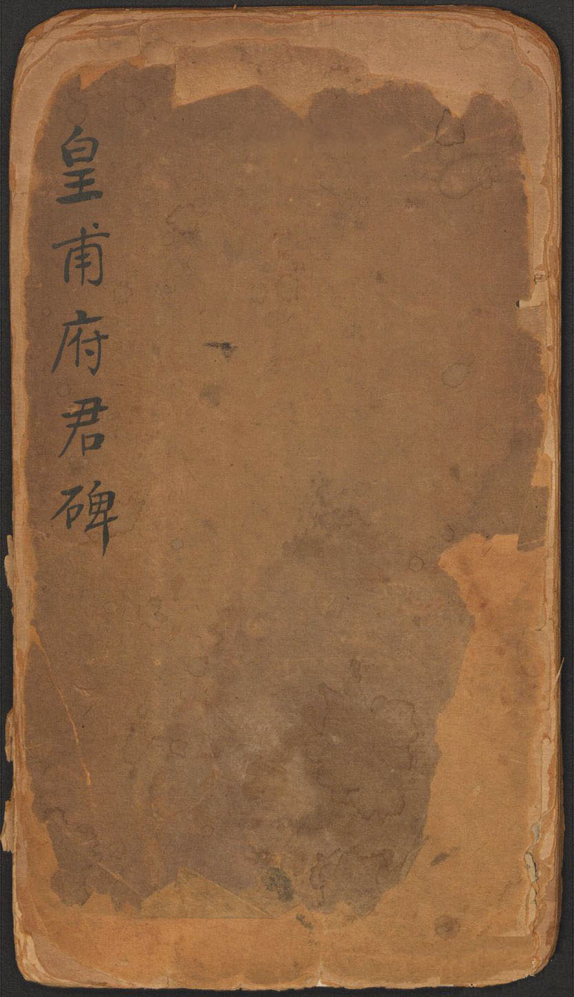 茶的奇妙多样从翠绿到红枫品味千种风情