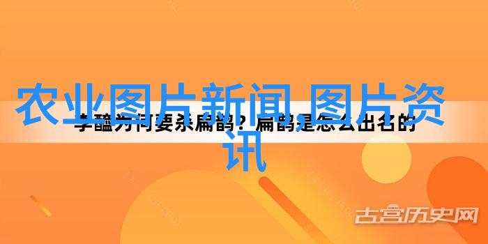 农业媒体报道_农业报道媒体怎么写_农业媒体有哪些