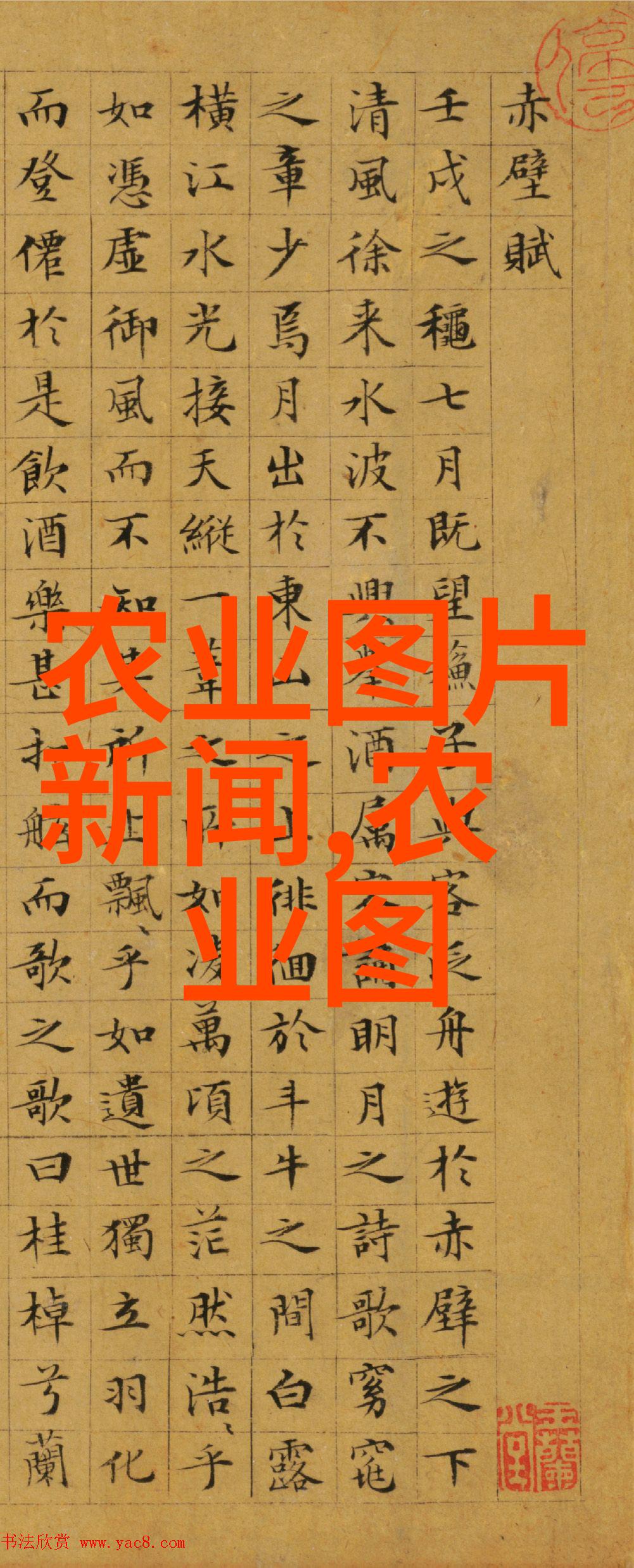 青岛小港洗头房体验一场温馨的洗礼