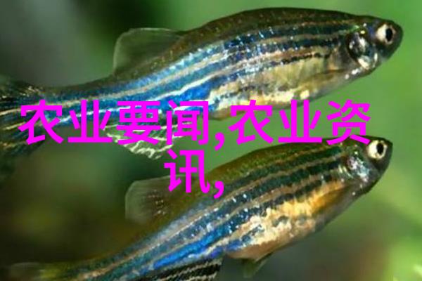 绿色家园净化生活的呵护之手