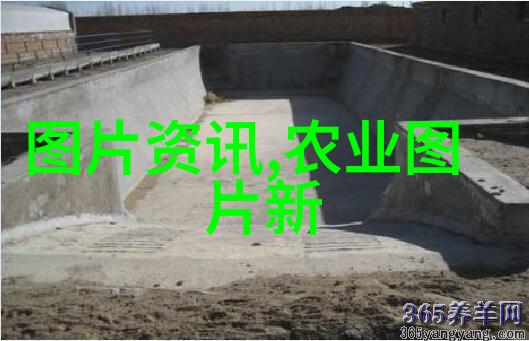 混凝土搅拌运输车工程建设中的重要助手