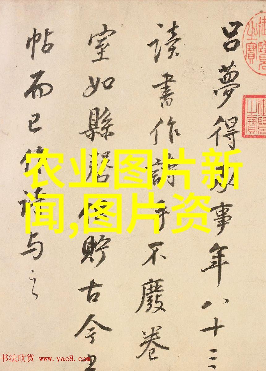 室内生长的绿色宝石室内可以种植哪些美味的水果
