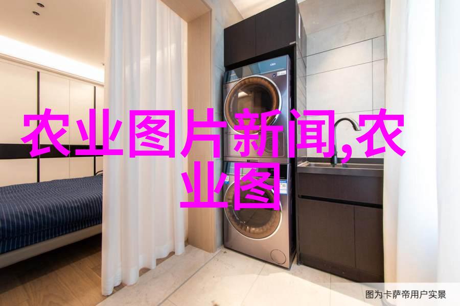 在家养的最佳淡水鱼有哪些探秘最受欢迎的亲水宠物
