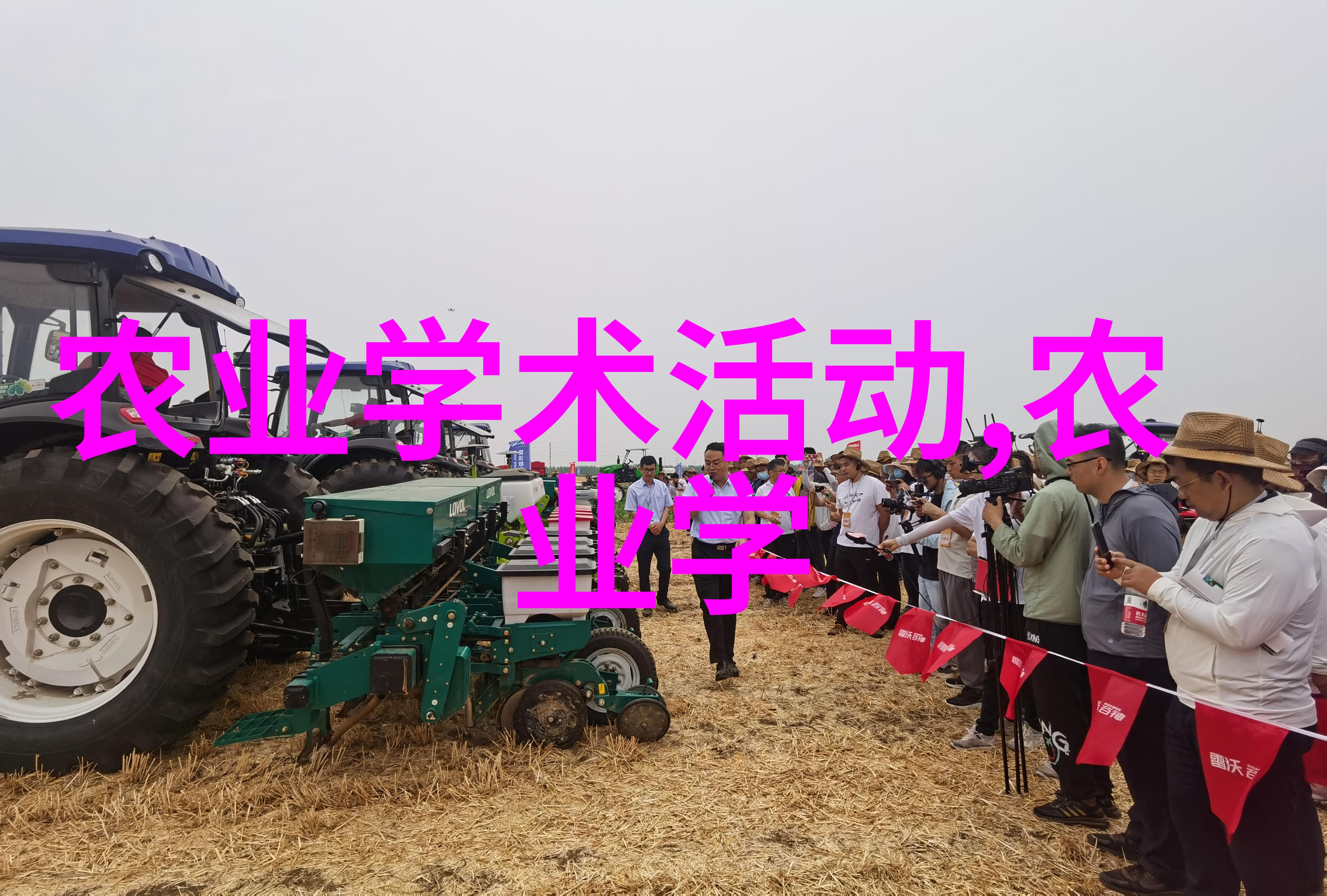 新手蜂王猎人指南揭秘捉中技巧与经验分享