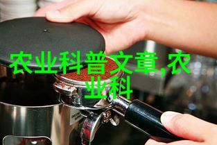 云南省新平县羊肚菌种植民法典案例分析引领自然致富新希望