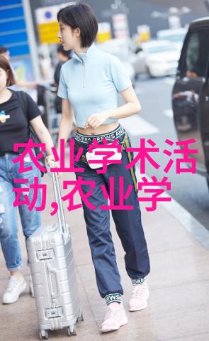 种植蔬菜大棚能挣钱吗我是如何在家里建了个小盆景月收入过万的
