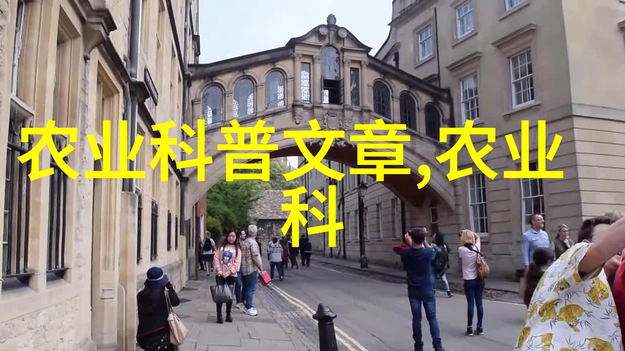 准备好你的园丁工具8-9月最佳的家用作物有哪些