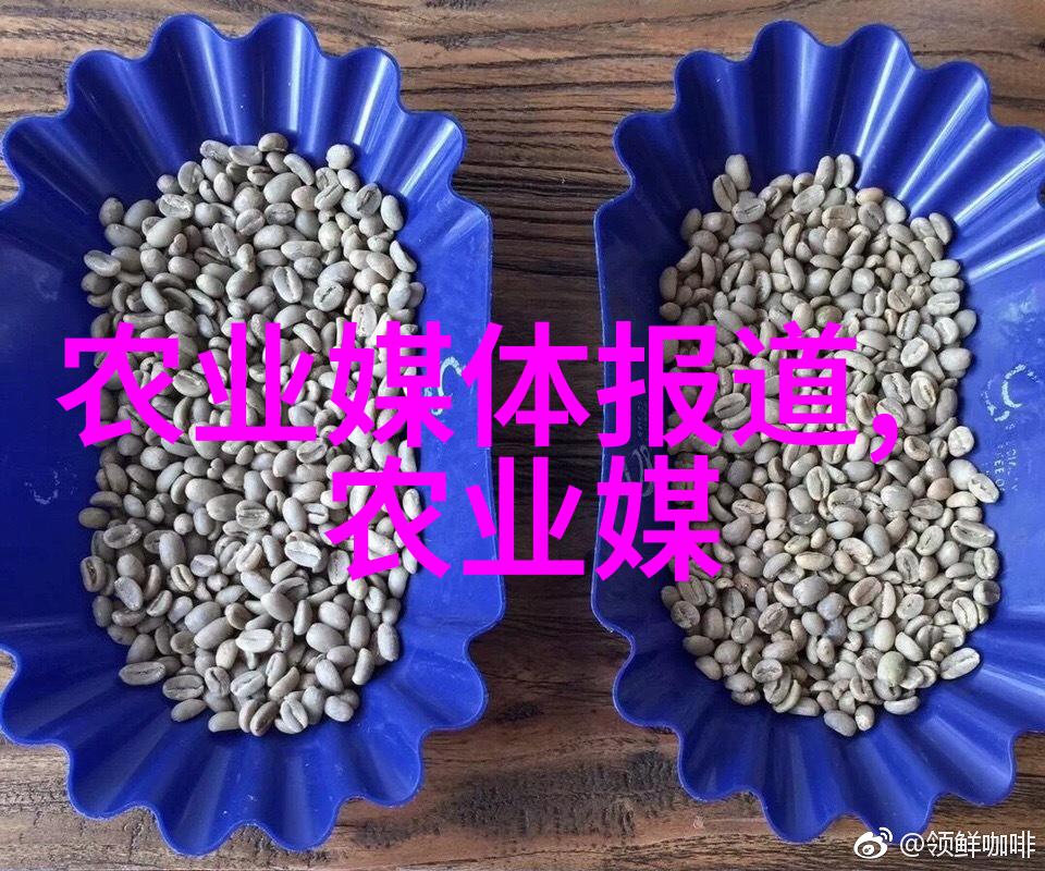 玉米稻米小麦大宗粮食作物的种植艺术
