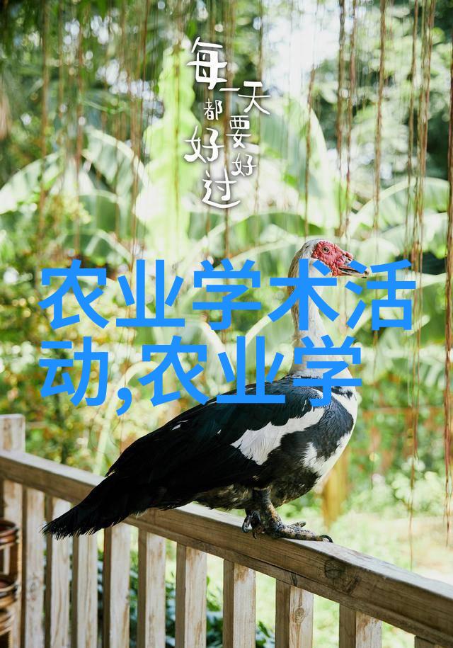 码垛机机械巨龙的编织故事