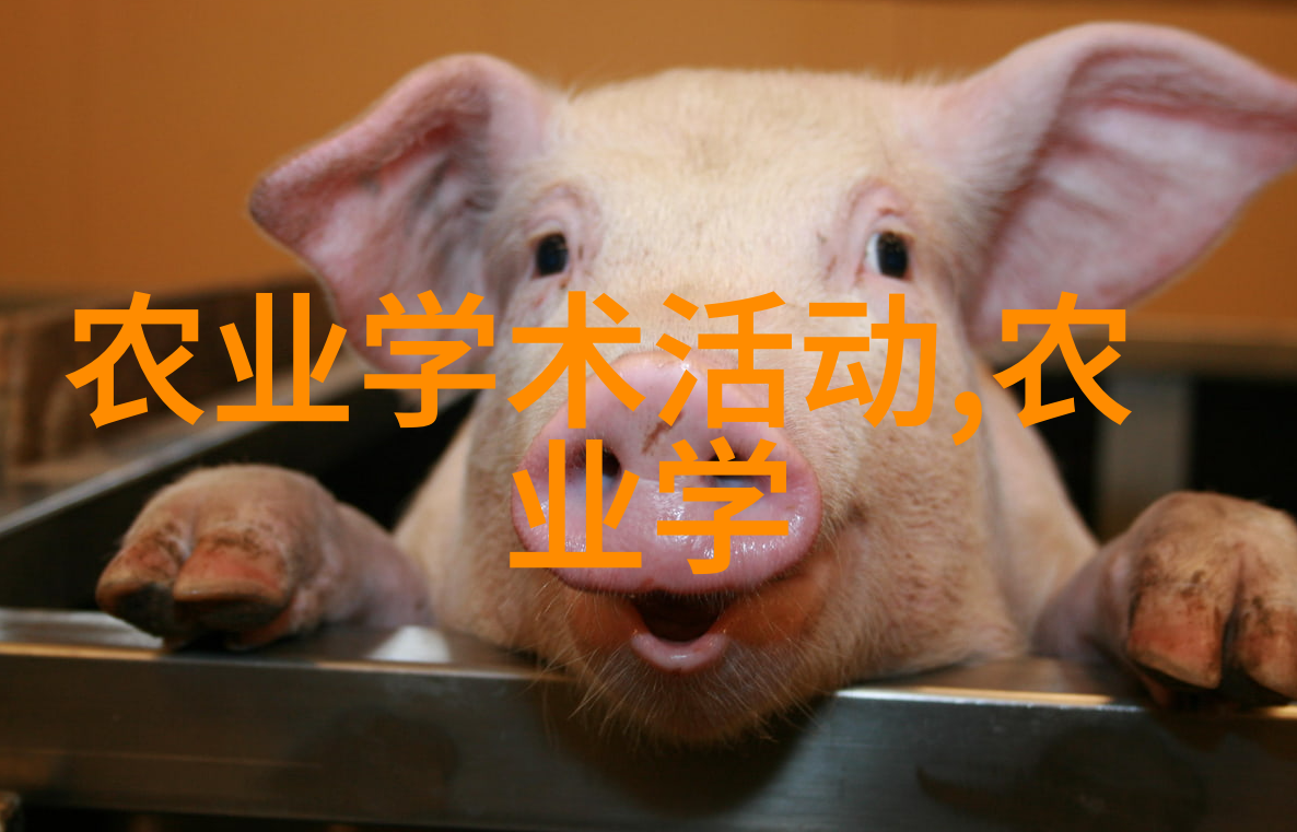 阳光下的甜蜜如何在你的阳台上栽培香瓜和西瓜