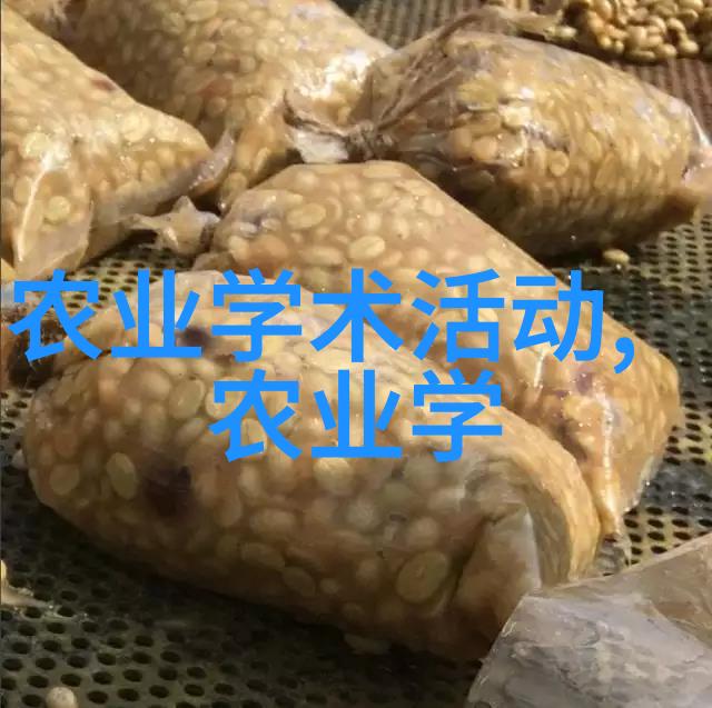 在现代生活中如何将silver maple水青杨的优点融入我们的园艺设计