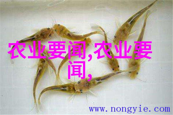 揭秘2022年最赚钱养殖之谜描开金钱果实的种子之谜