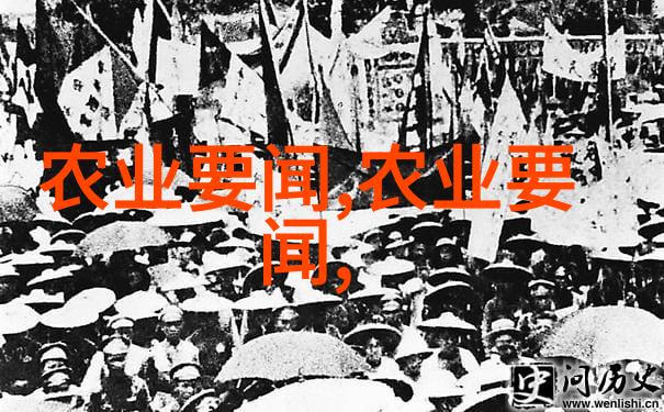 新西兰养蜂技艺展现探索天然蜂蜜的创作与技术视频