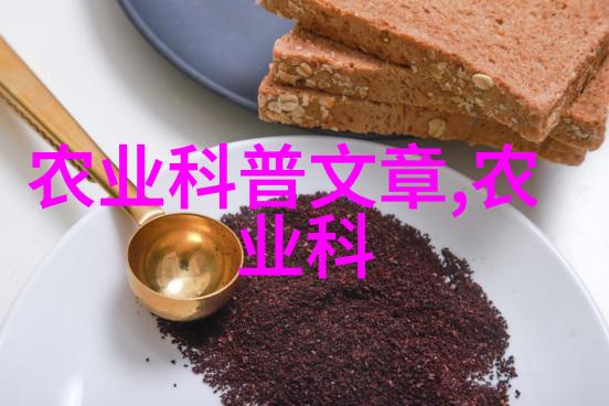 小向真奈美的舞台魅力从地下漫画到世界知名的奇迹之旅