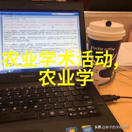 银杏舞动秋日黄金与岁月回忆