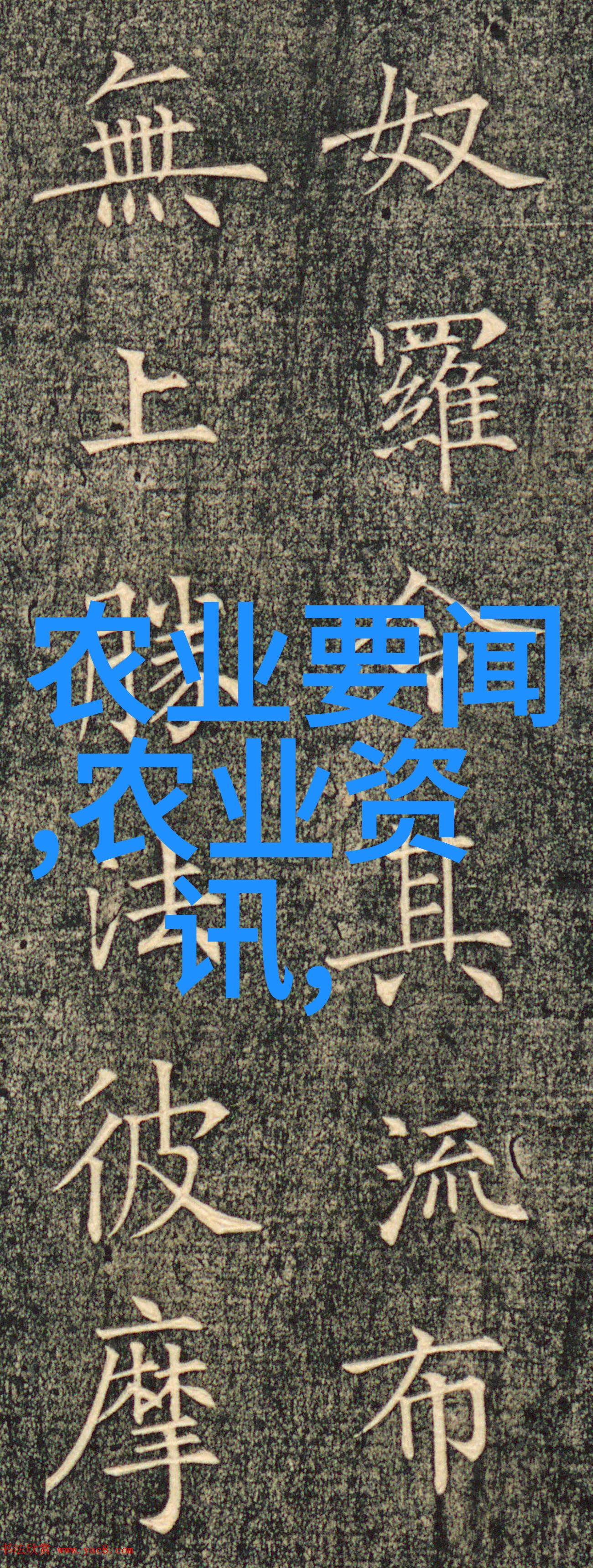 一亩大棚投资成本详解农业科技现代农场建设