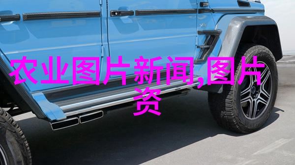 药材市场-高效配方揭秘哪些药材最赚钱