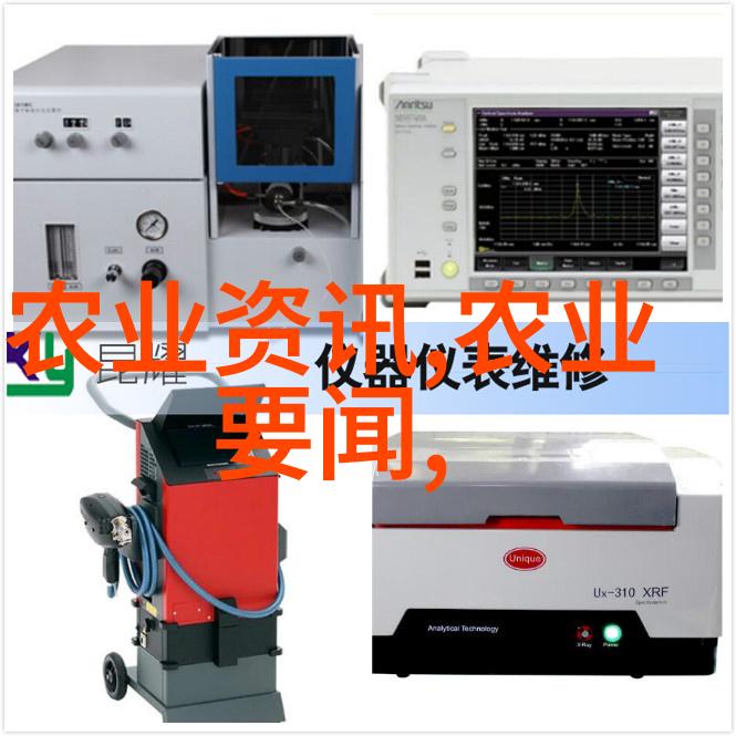 金线莲之谜重量与梦想的交错