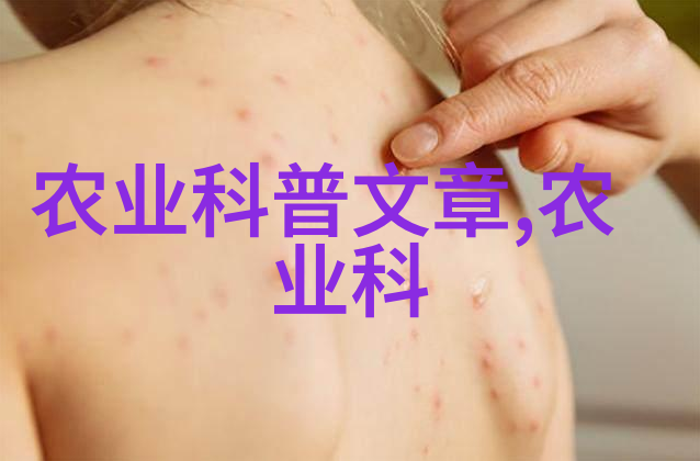 乡村草海探秘农田间那些隐藏的药用宝藏
