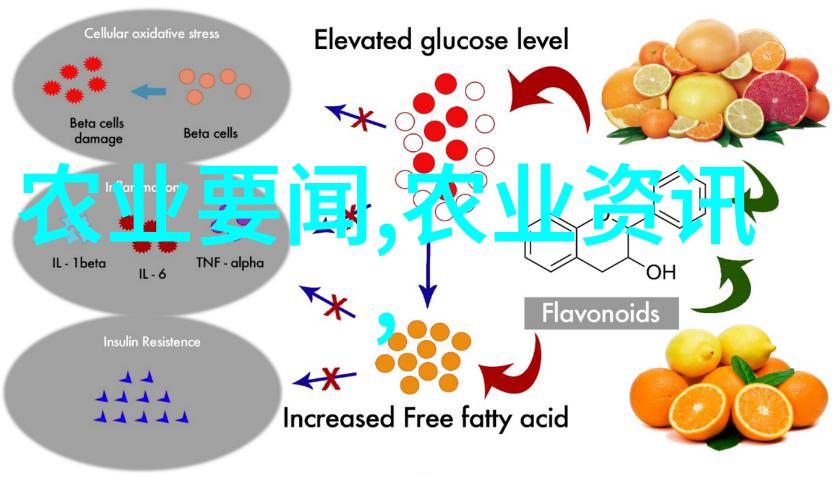 数据驱动茄子播种最佳时机与水肥管理策略