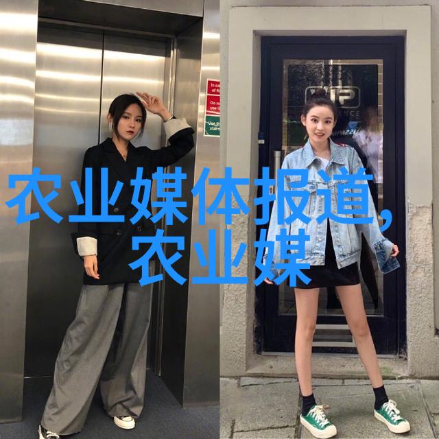 窗边鲜艳生活更精彩最佳十个家庭友好的户外植物选项