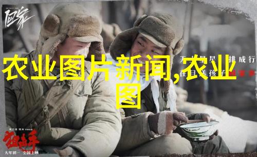 荒凉小院里的奇迹如何用极简花卉点缀出意外的美丽
