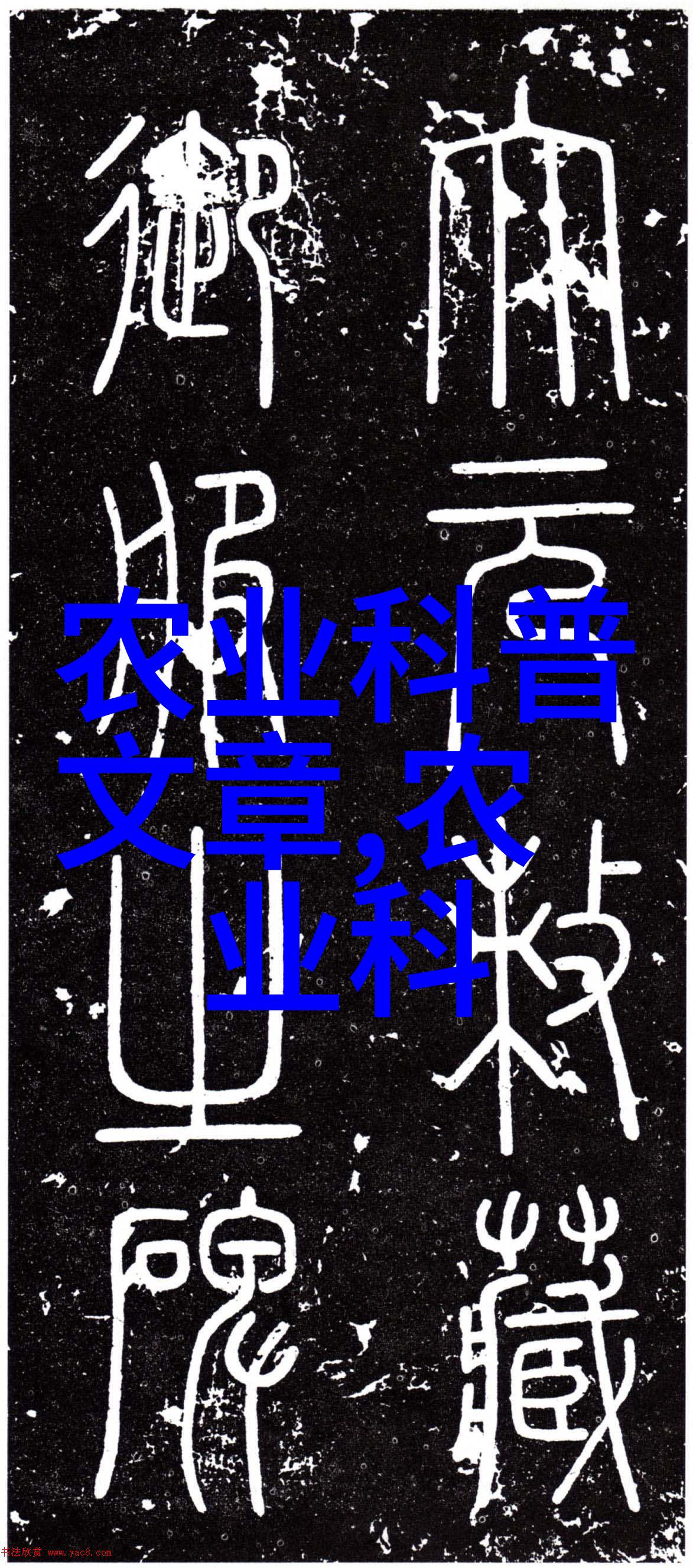阳台种植美味水果家庭园艺中的甜蜜收获