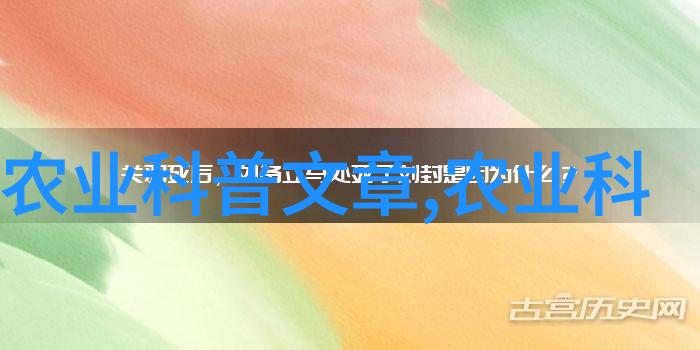 农村生意之谜哪种赚钱最好揭秘致富秘笈