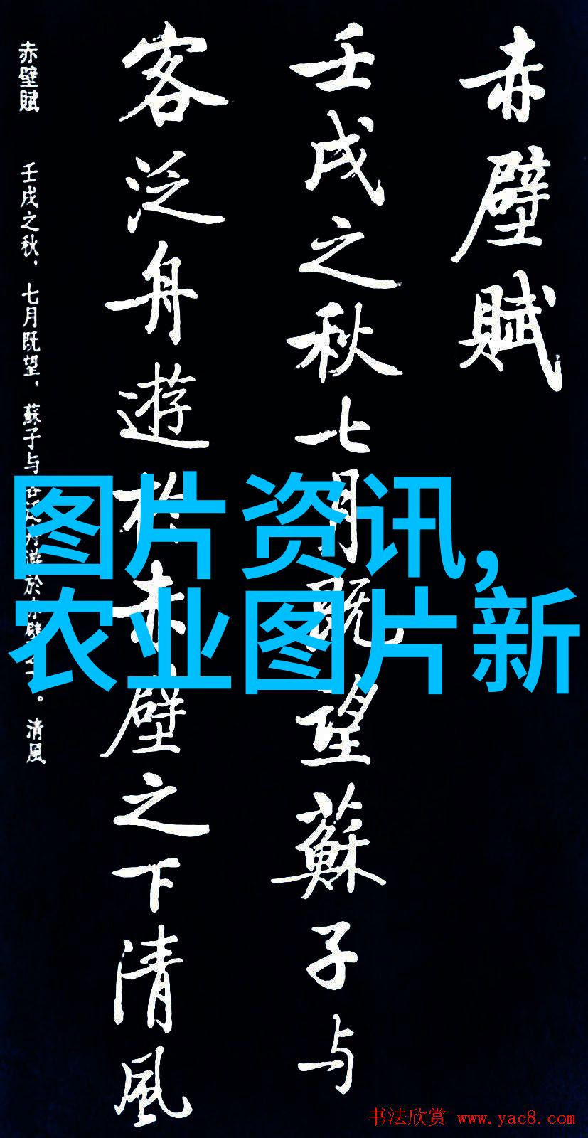 牛羊混养的双刃剑增强免疫力与提高饲料效率动物共享环境健康互助