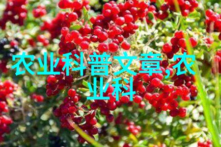 常见100种中药探秘那些我们平时就能吃到的神奇草药