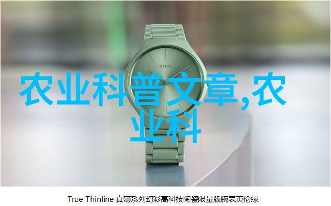 家庭阳台上的绿意盎然种菜盆的诱人魅力