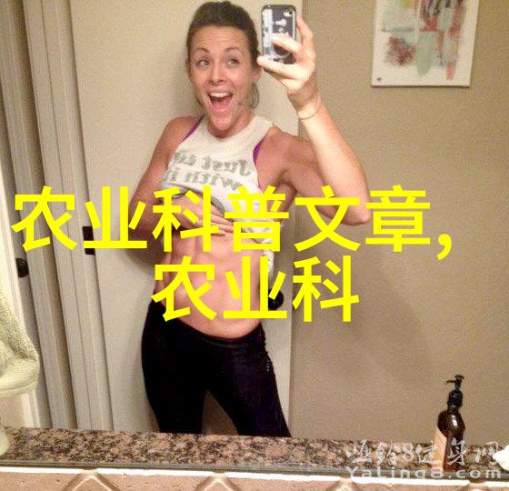 小户农场的大规模作业应用大型商用稻谷烘干机的经验分享