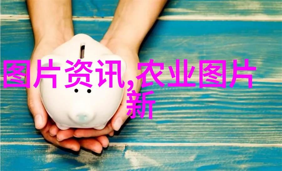 2023新版民法典完整版解读权利义务新变化与社会影响