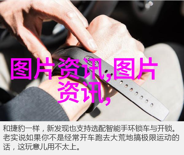 鸡爪槭之谜12公分的秘密