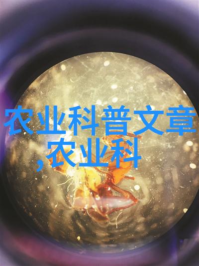 认识不同水果的种子特性