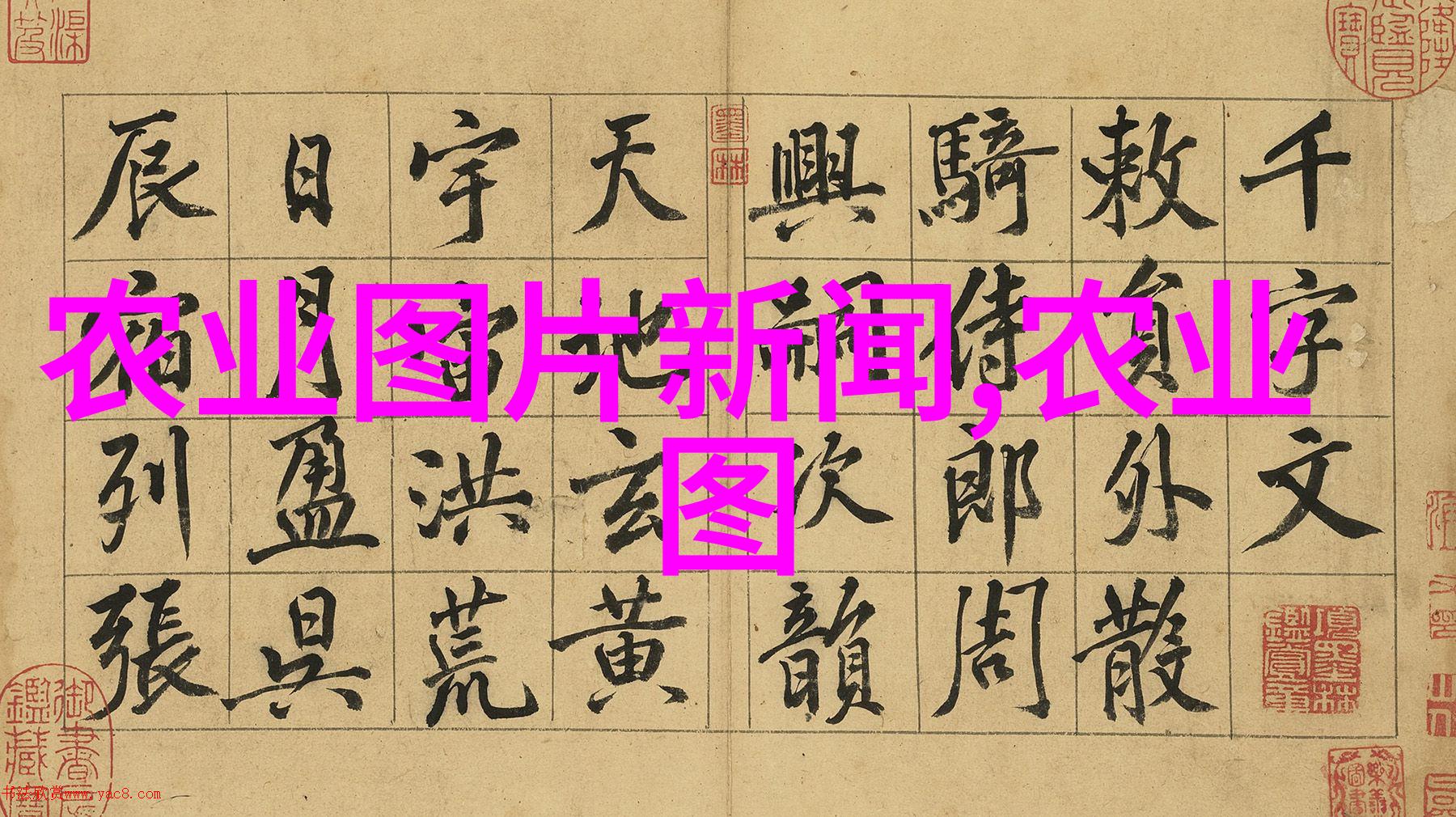 专业养羊视频教程羊毛制品制作