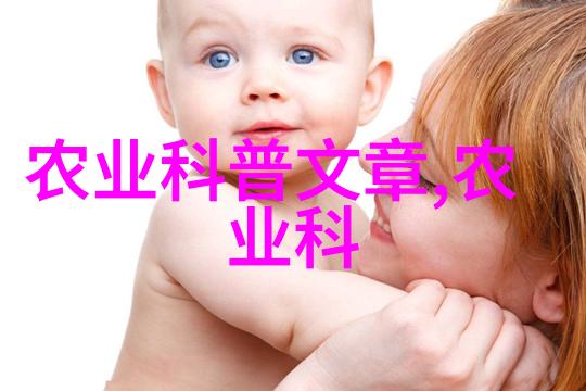 收割完玉米秸秆后如何处理这些废料