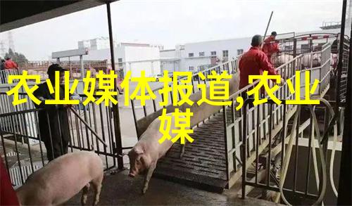 宠物疾病诊断与治疗技能提升宠物医疗科目备战策略