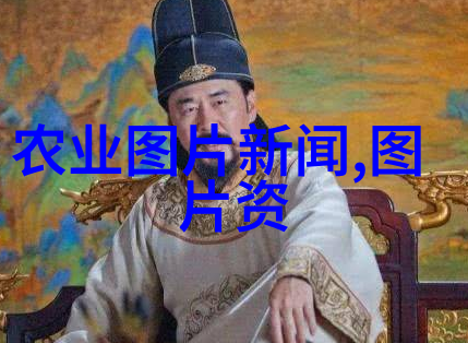 如何在家中种植能够迅速回本的花卉和草本