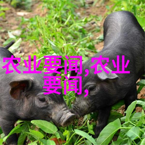 花鸭掌木的隐秘它是如何变成致癌物质的